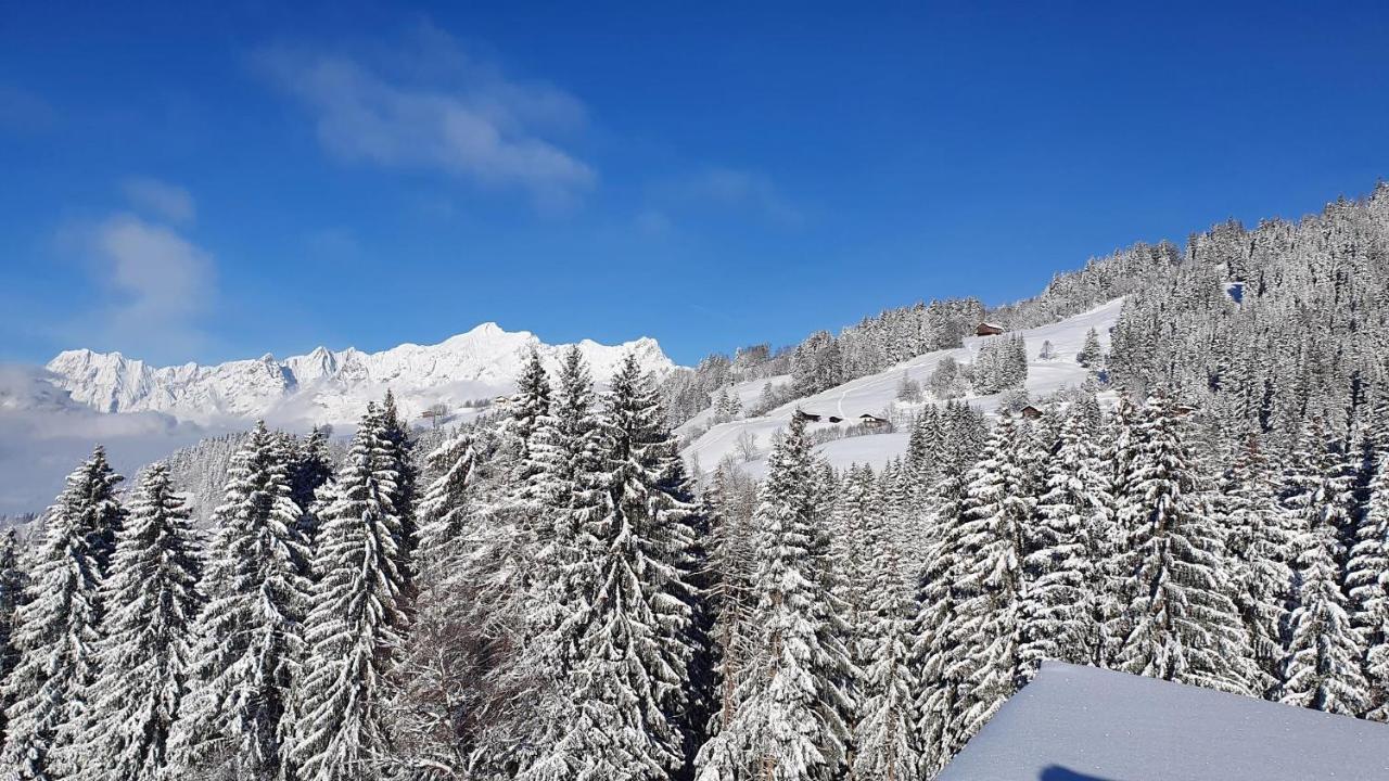 Ferienwohnung Weitblick Hochpillberg Extérieur photo